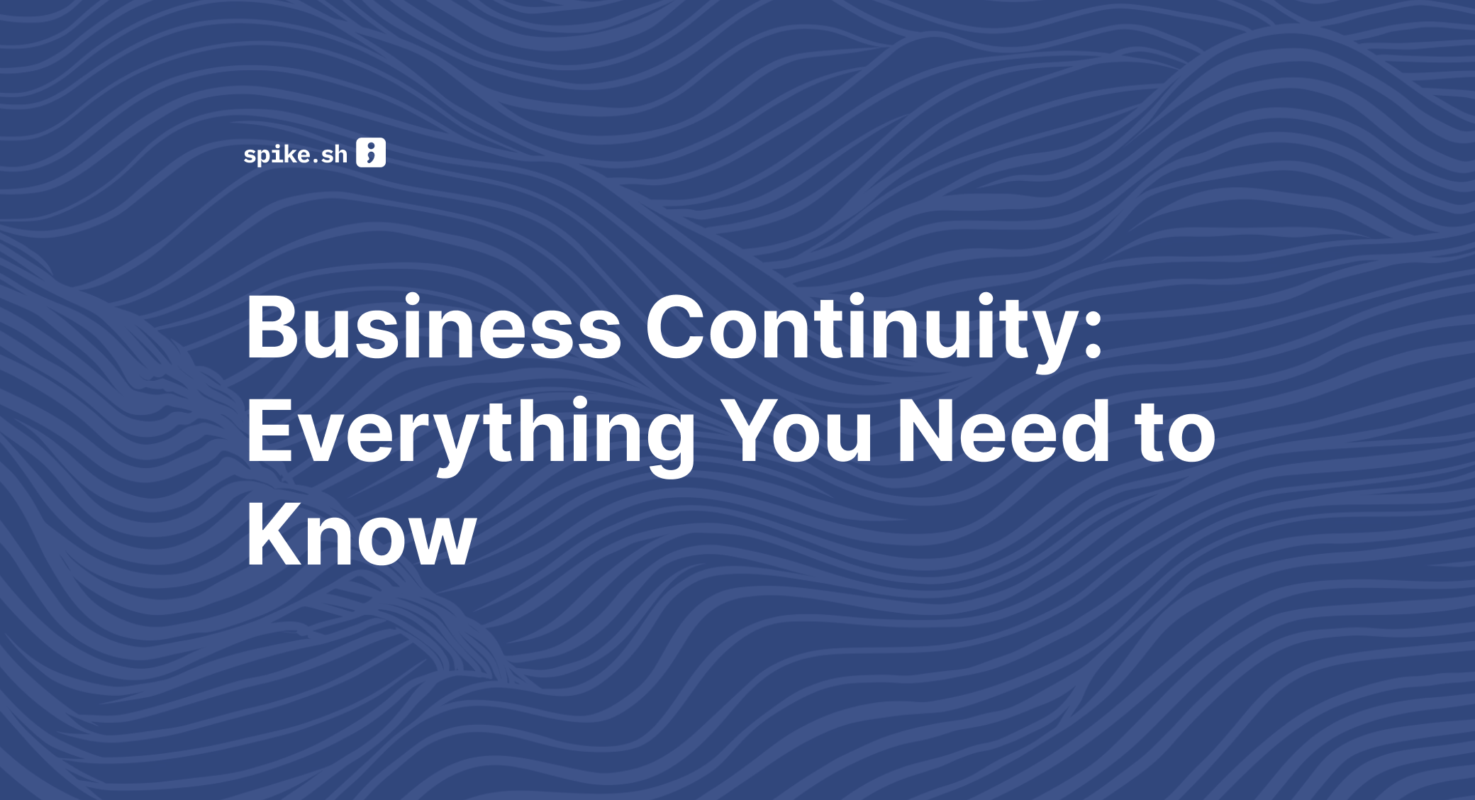 Blog cover titled "Business Continuity: Everything You Need to Know"